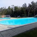 In - Balaton 18986 *